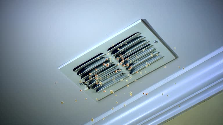 Best Dryer Vent Cleaning Services  in Middleborough Center, MA